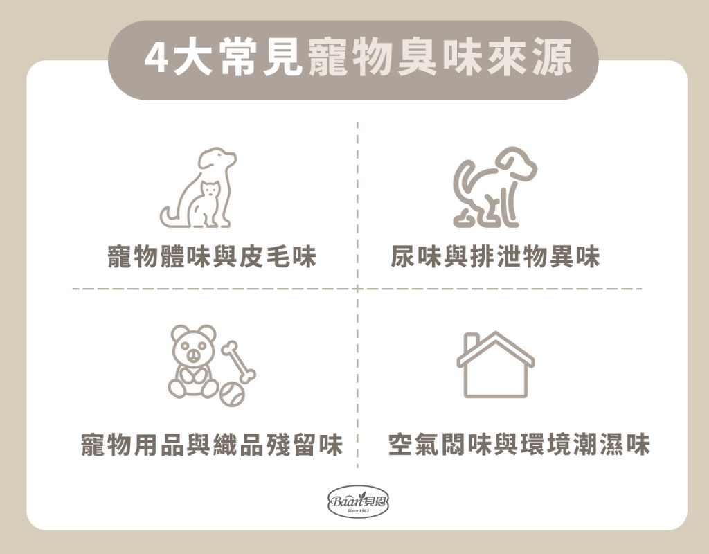 4大常見異味來源