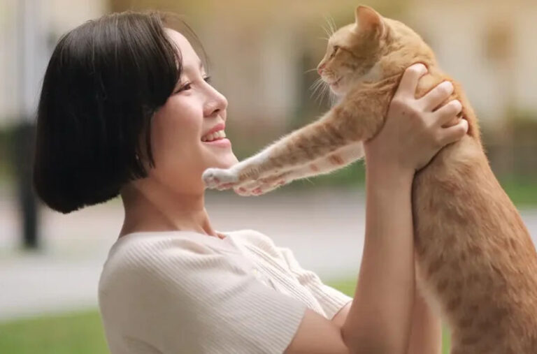 去除貓尿味的方法