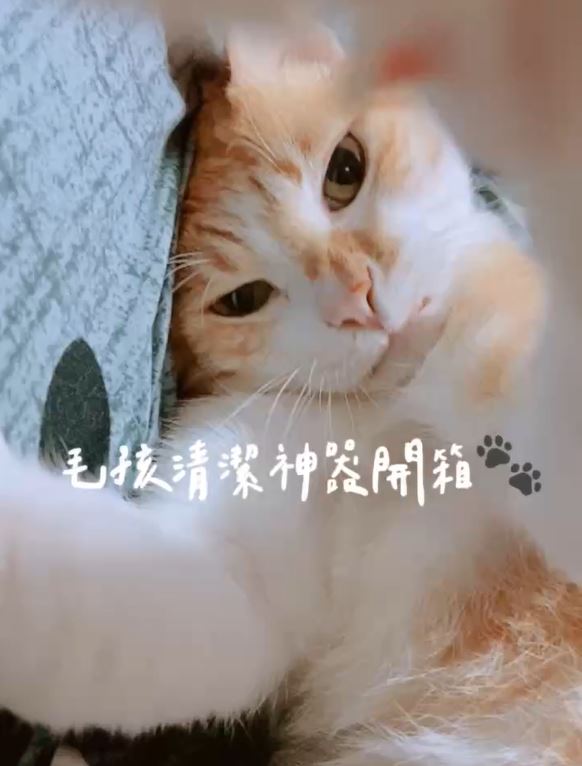 寵物清潔開箱
