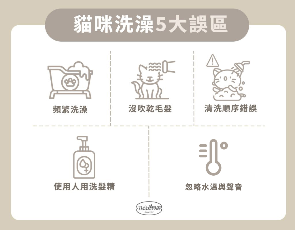 貓咪洗澡5大誤區