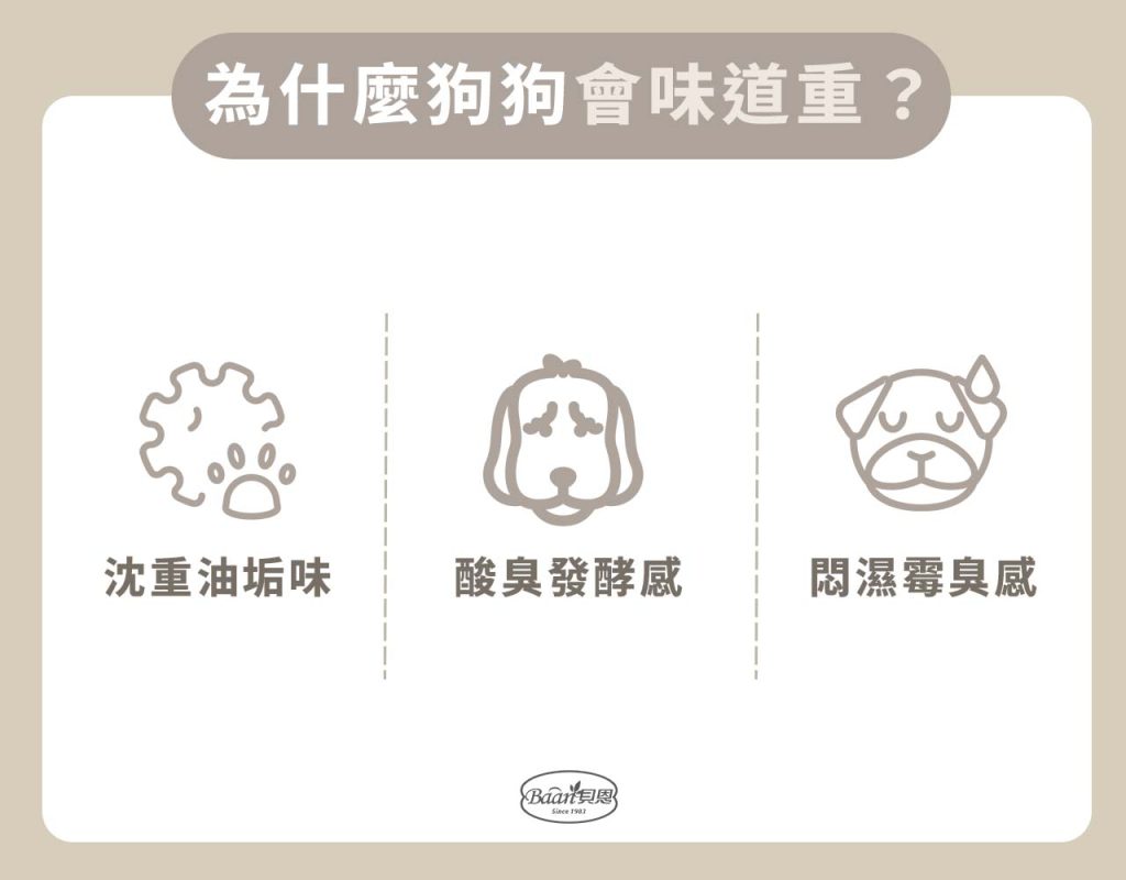 為什麼狗狗會味道重