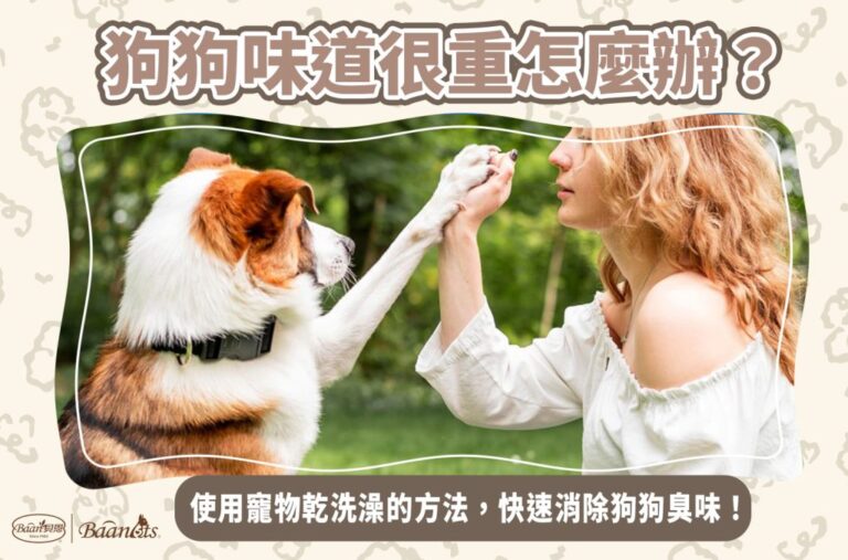 狗狗味道很重怎麼辦