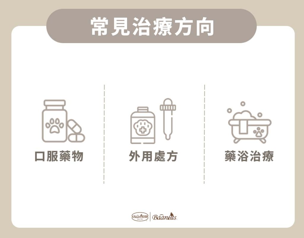 狗狗一直抓癢常見治療方向