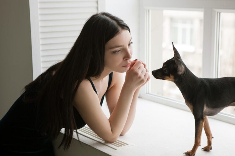 狗狗可以聞的擴香