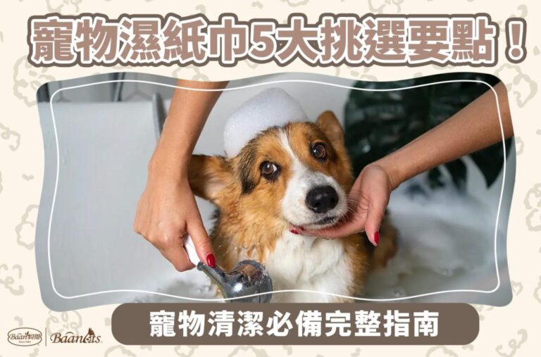 寵物濕紙巾