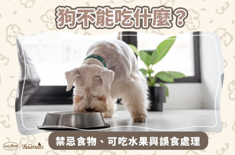 狗不能吃什麼