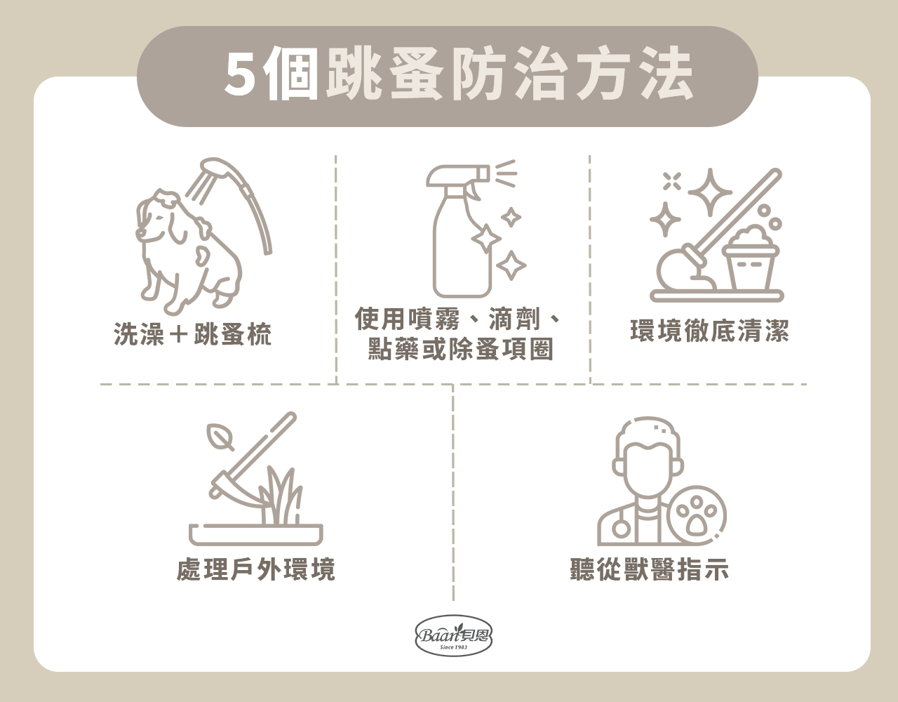 5個跳蚤防治方法