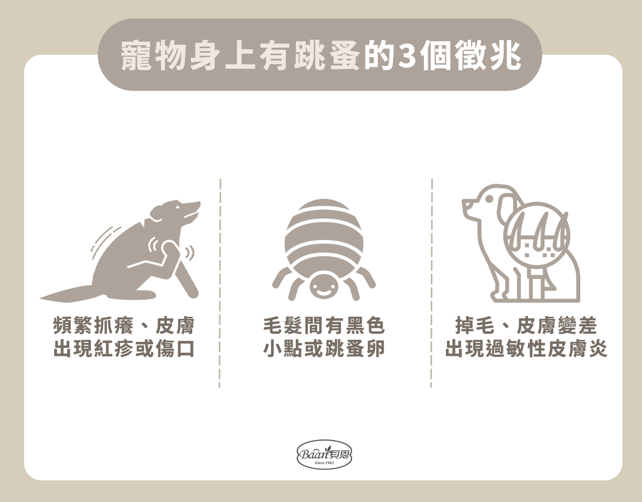寵物身上有跳蚤